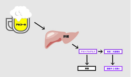 【習慣形成】習慣化したいことを阻害する飲酒後の寝起き頭痛